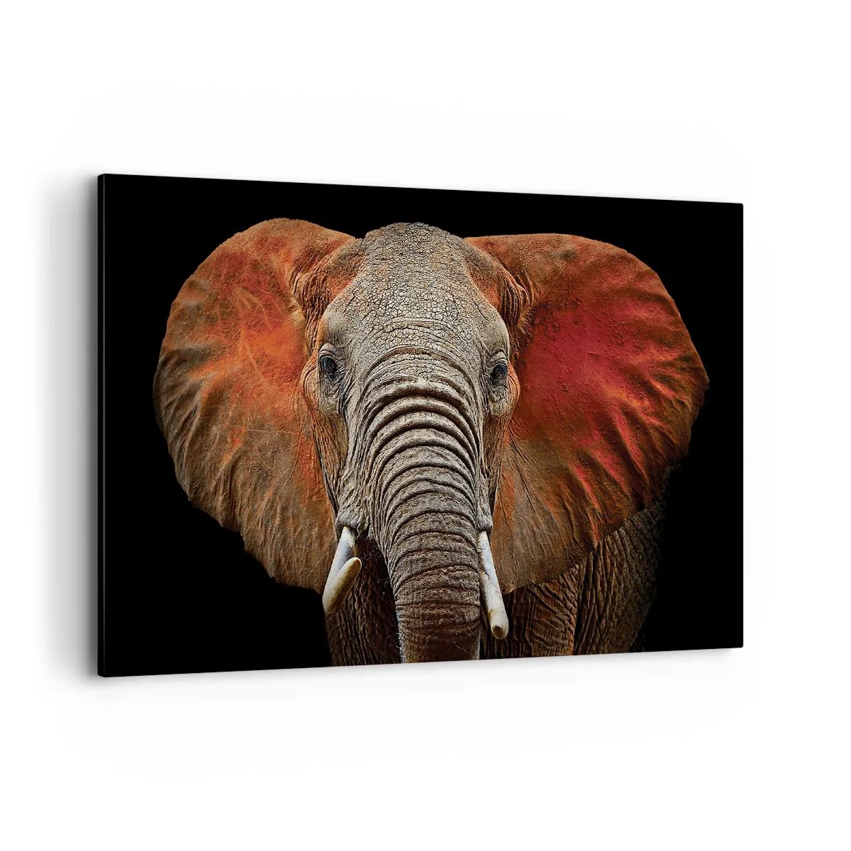 Obraz na plátne - Som divoký, a ty? - 120x80 cm