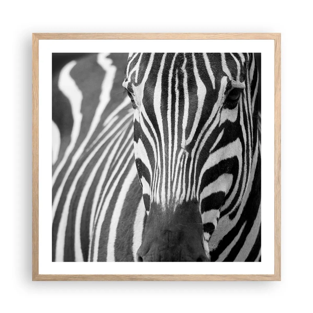 Plagát v ráme zo svetlého duba - Svet je čierno-biely - 60x60 cm