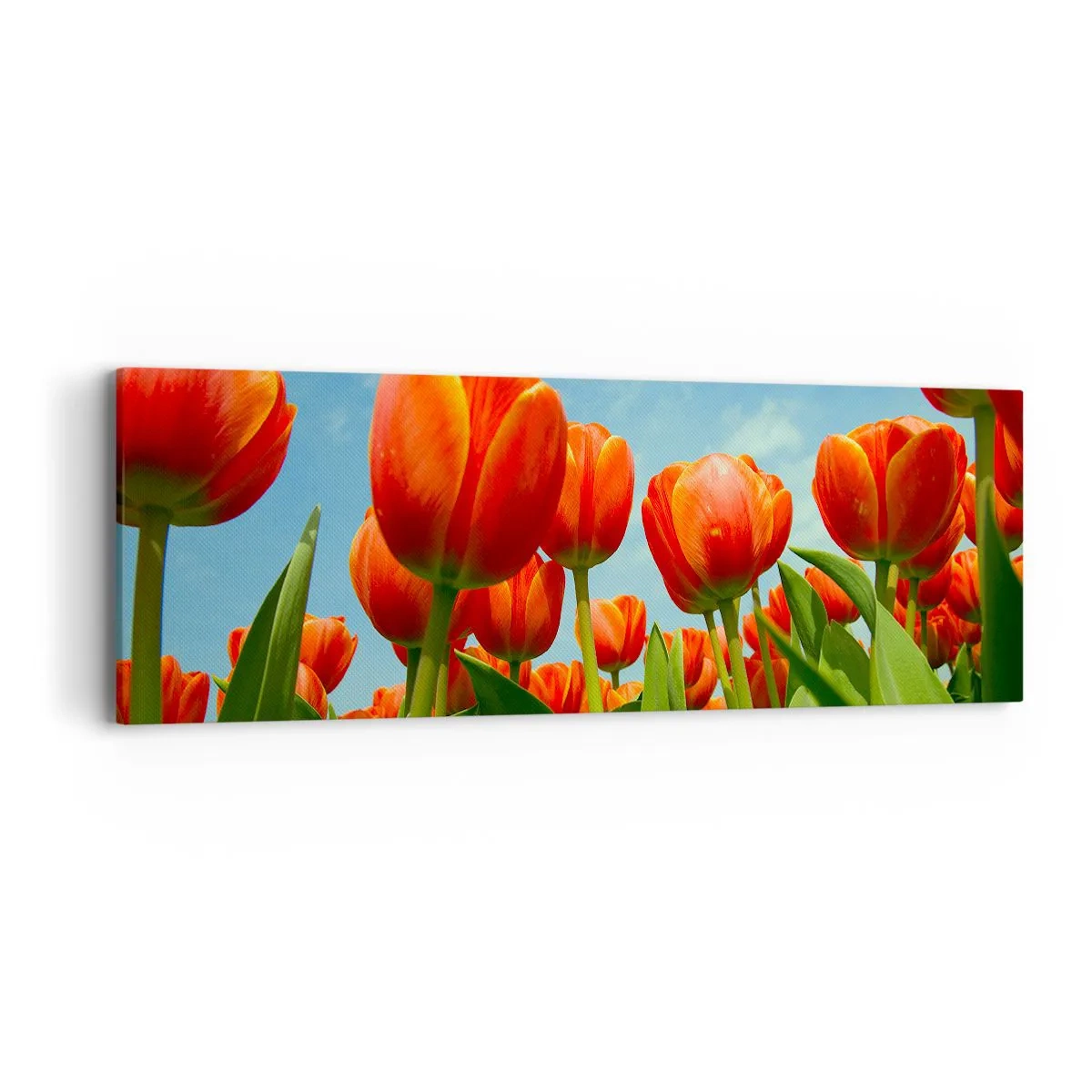 Obraz na plátne - Okrem blankytného neba nič v živote nepotrebujú - 90x30 cm