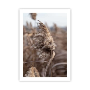 Plagát - Čas odletieť s vetrom - 50x70 cm