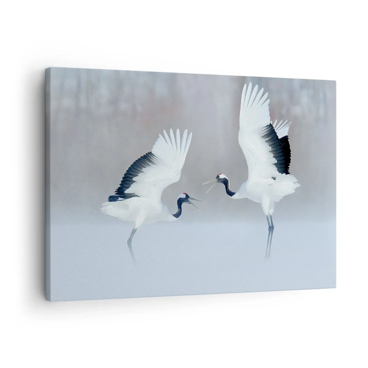 Obraz na plátne - Dva žeriavy tancujú v hmlistej krajine - 70x50cm - Tanec v hmle - Moderná nástenná dekorácia do obývacej izby a spálne ARTTOR