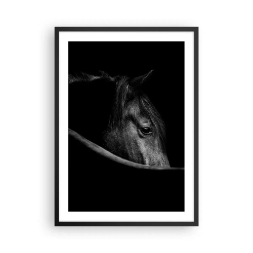 Plagát v čiernom ráme - Čiernobiely portrét koňa v umeleckom prístupe - 50x70cm - Čierny knieža - Moderná nástenná dekorácia do obývacej izby a spálne ARTTOR
