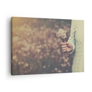 Obraz na plátne - Ruka držiaca púpavy na rozostrenom pozadí poľa plného kvetov. - 70x50cm - Zastav ich, prosím - Moderná nástenná dekorácia do obývacej izby a spálne ARTTOR