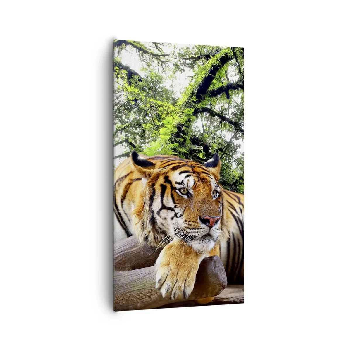 Obraz na plátne - S úctou - 65x120 cm