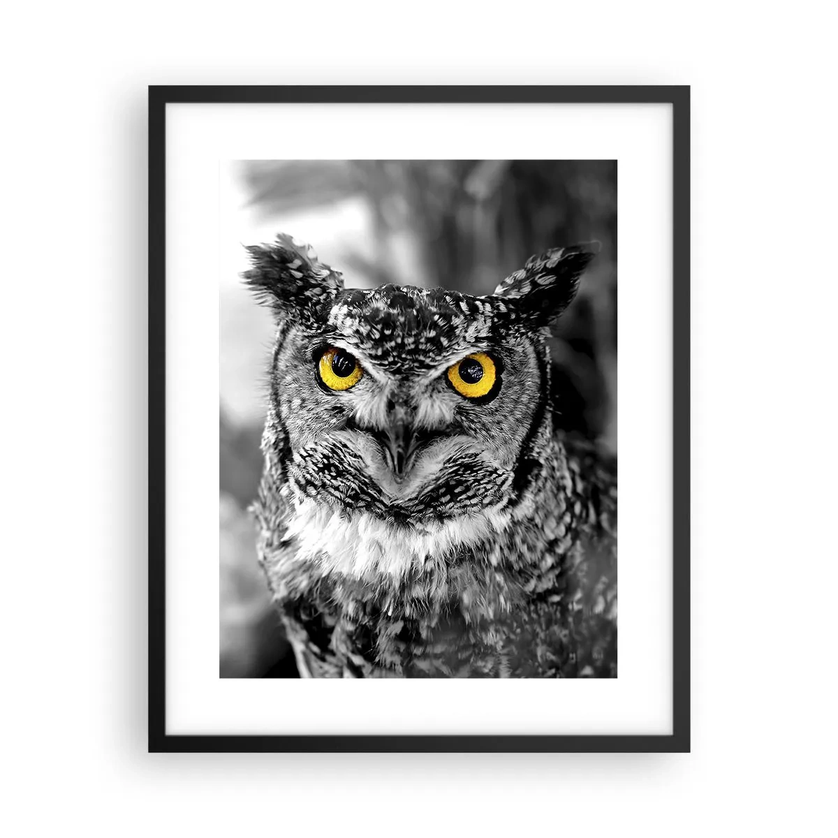 Plagát v čiernom ráme - Nič sa neschová - 40x50 cm