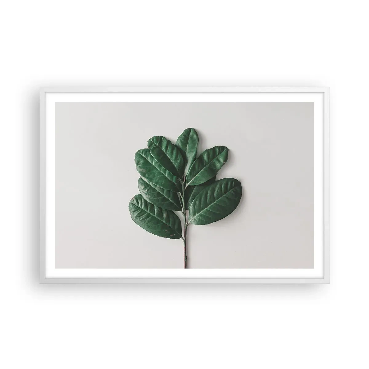 Plagát v bielom ráme - Kresba samotnej prírody - 91x61 cm
