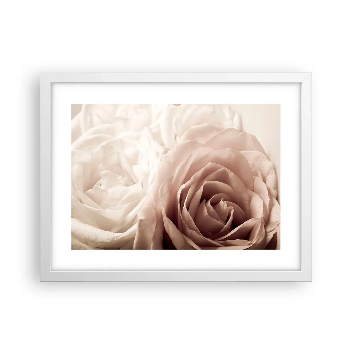 Plagát v bielom ráme - V srdci ruže - 40x30 cm
