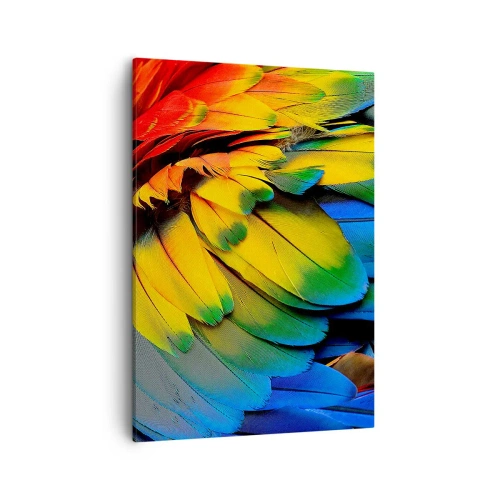 Obraz na plátne - Nebeský vták - 50x70 cm