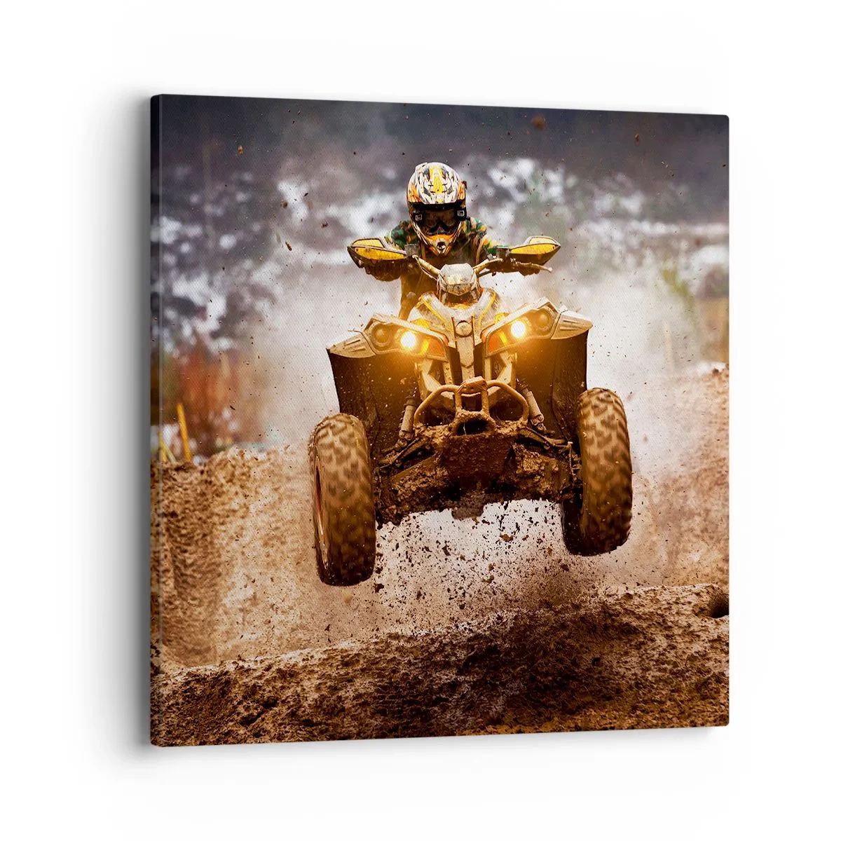 Obraz na plátne - No risk no fun - 40x40 cm