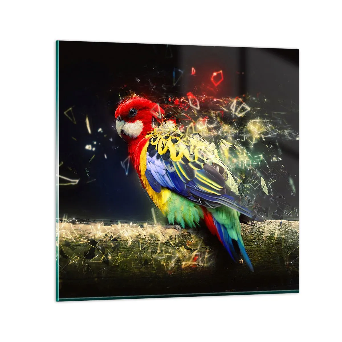 Obraz na skle - Posol žiary - 70x70 cm