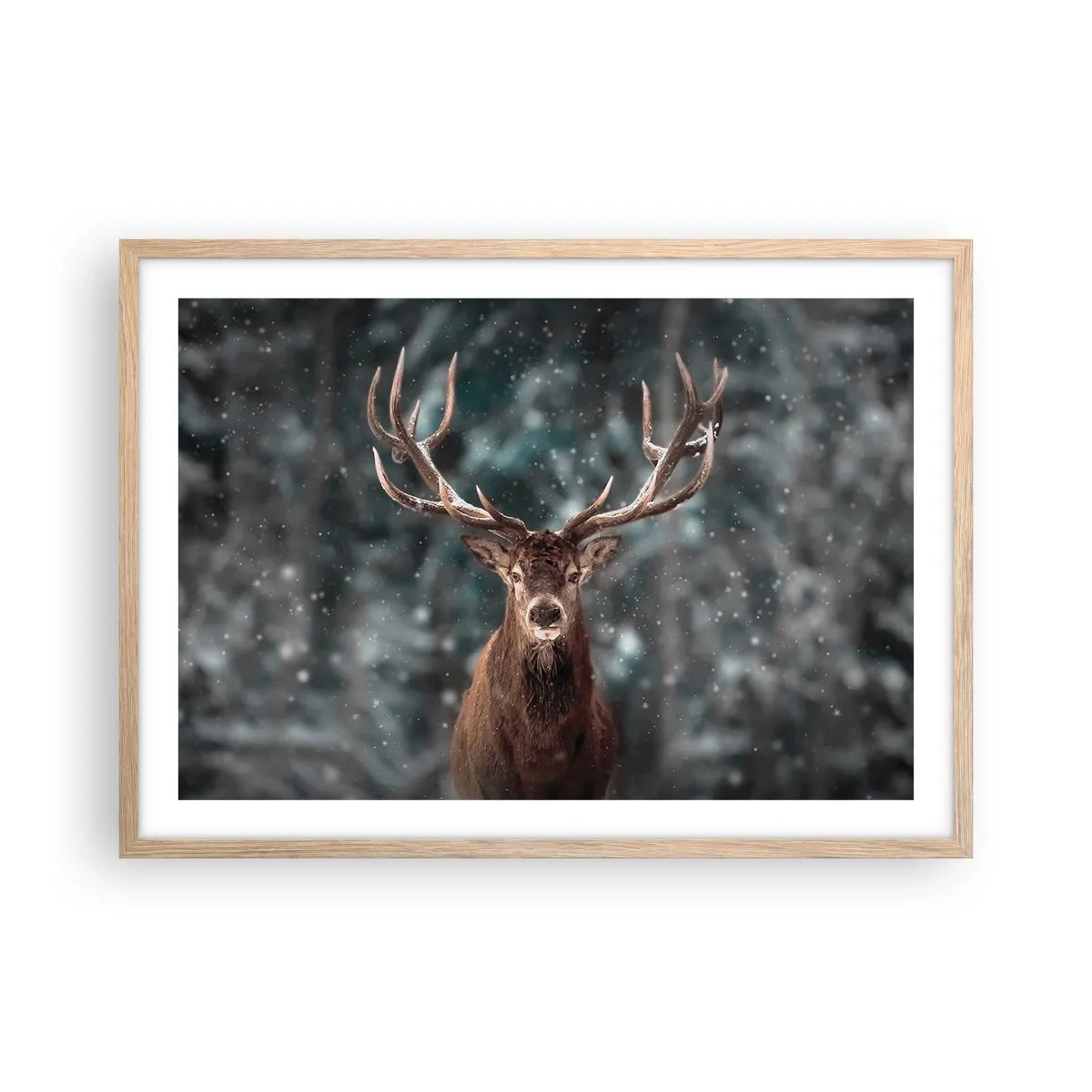 Plagát v ráme zo svetlého duba - Skutočný kráľ lesa - 70x50 cm