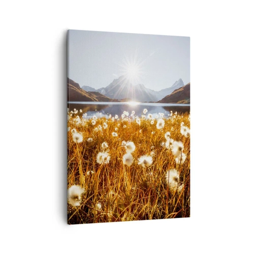 Obraz na plátne - Tvrdosť skál, mäkkosť tráv - 50x70 cm