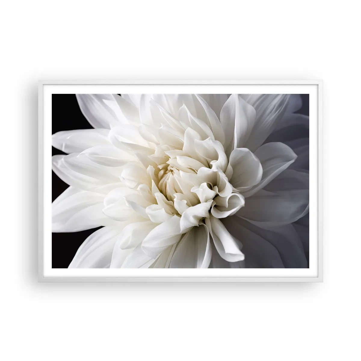 Plagát v bielom ráme - Ráno s nevestou - 100x70 cm