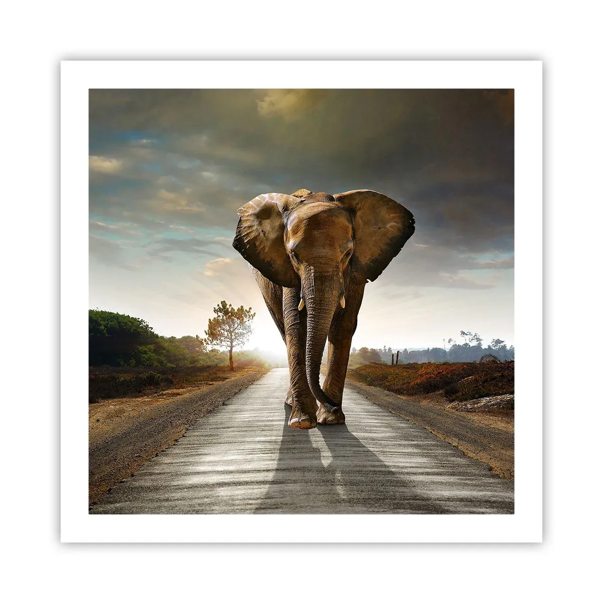 Plagát - A vôbec nie v sklade porcelánu - 60x60 cm