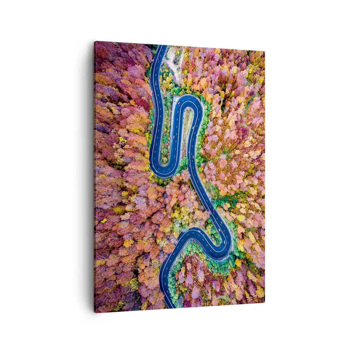 Obraz na plátne - Kľukatá cesta lesom - 50x70 cm