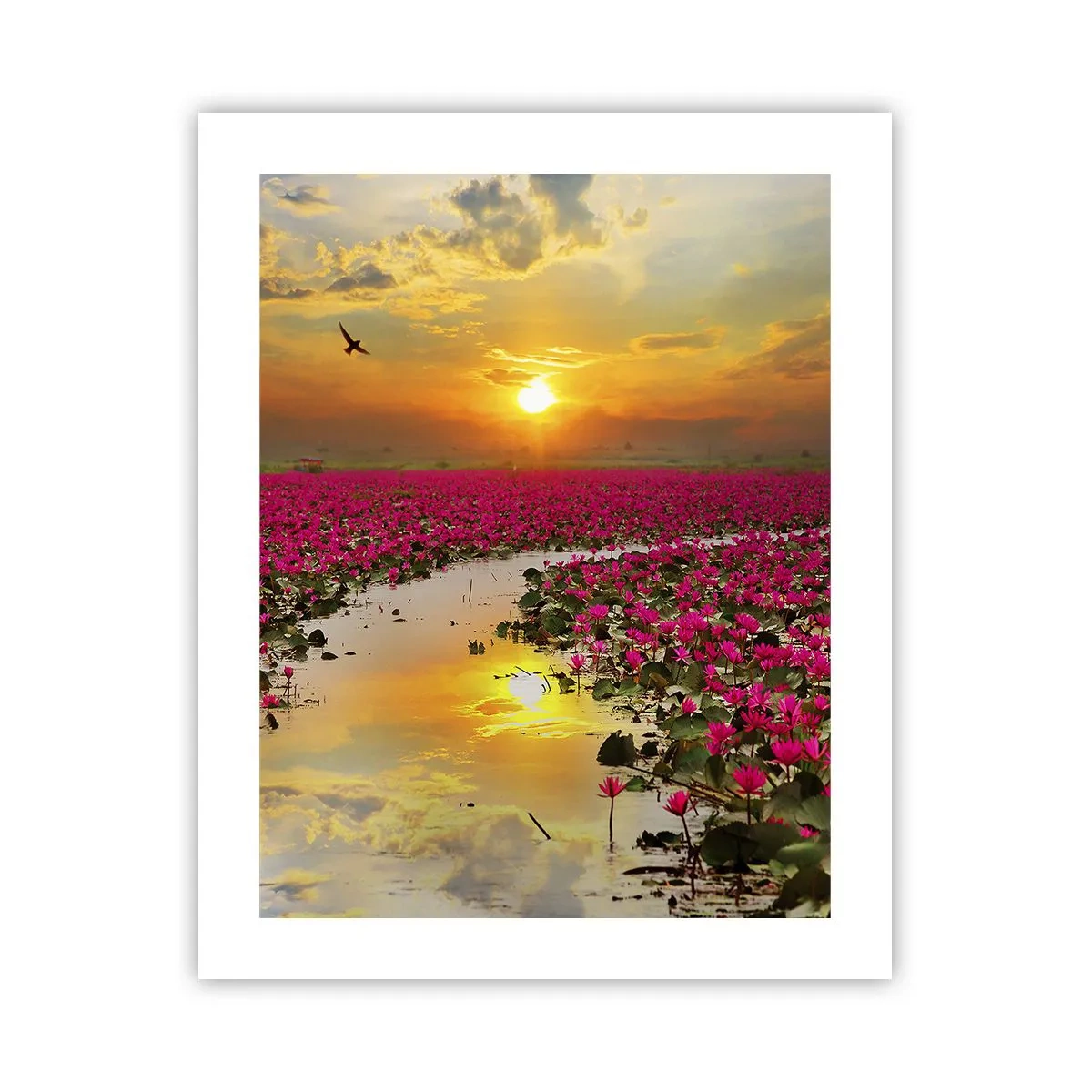 Plagát - Tajomný život jazera - 40x50 cm