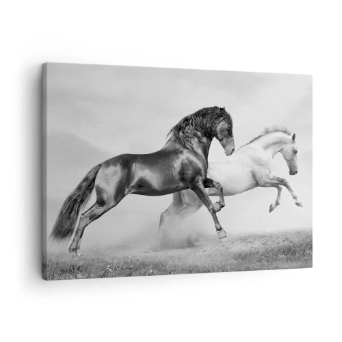 Obraz na plátne - Dva cválajúce kone v dynamickej čiernobielej kompozícii - 70x50cm - Anjeli a démoni - Moderná nástenná dekorácia do obývacej izby a spálne ARTTOR