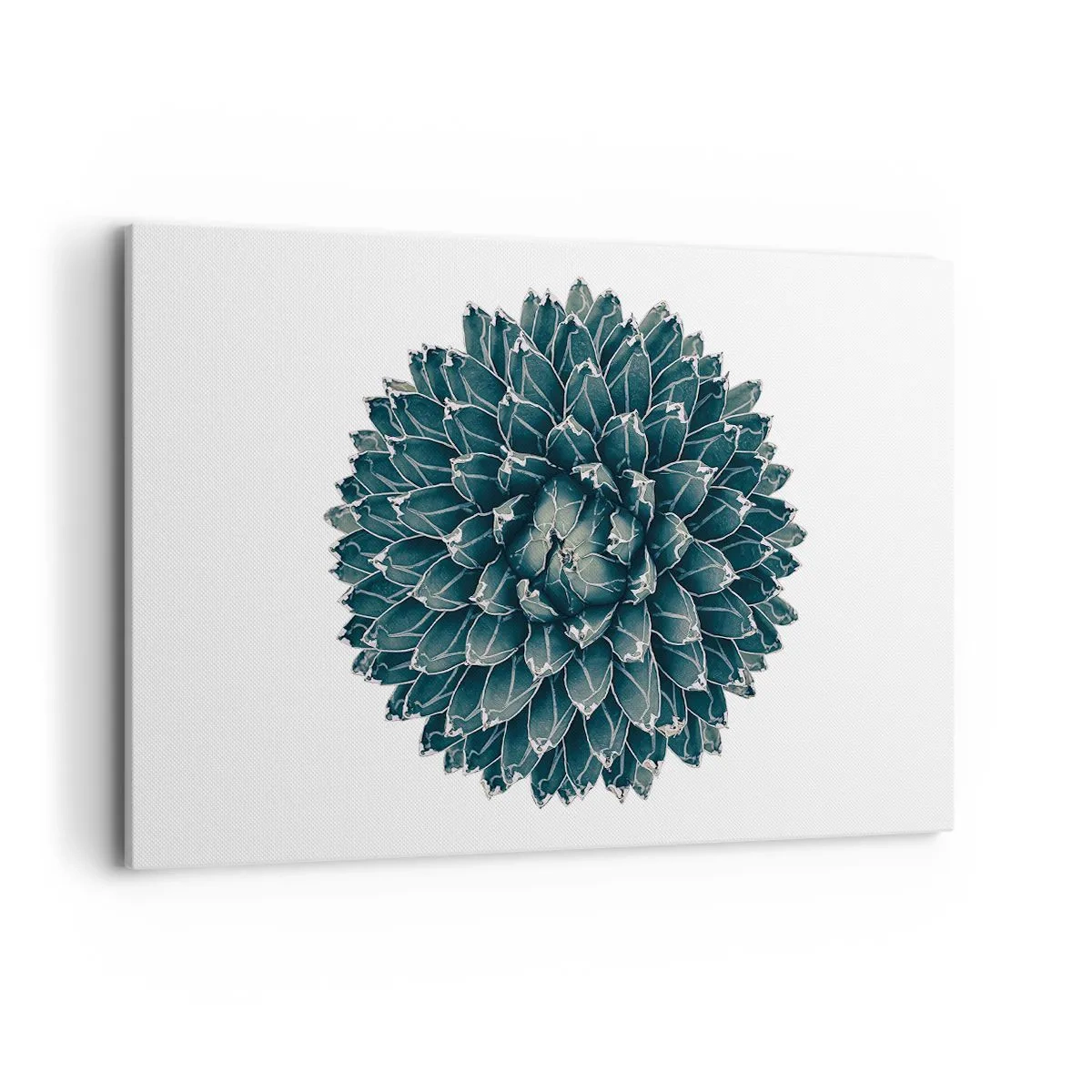 Obraz na plátne - Hviezda púšte - 120x80 cm