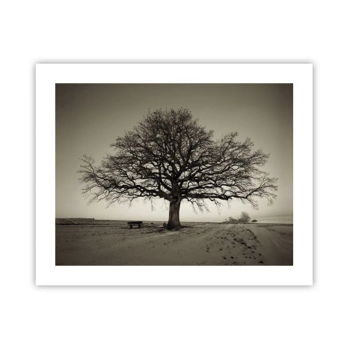 Plagát - Odtiaľ až do večnosti - 50x40 cm