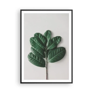 Plagát v čiernom ráme - Kresba samotnej prírody - 70x100 cm