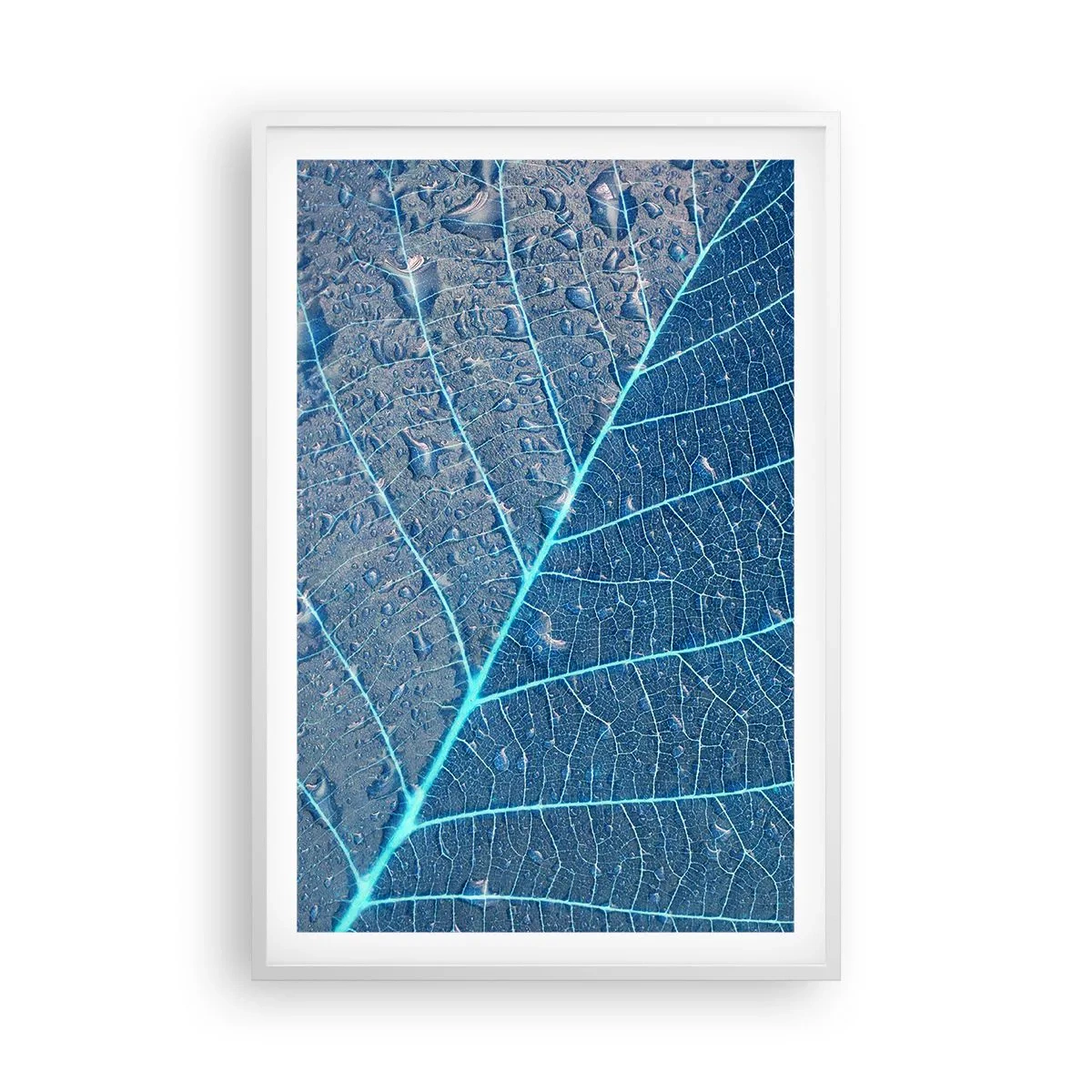 Plagát v bielom ráme - Modrý život - 61x91 cm