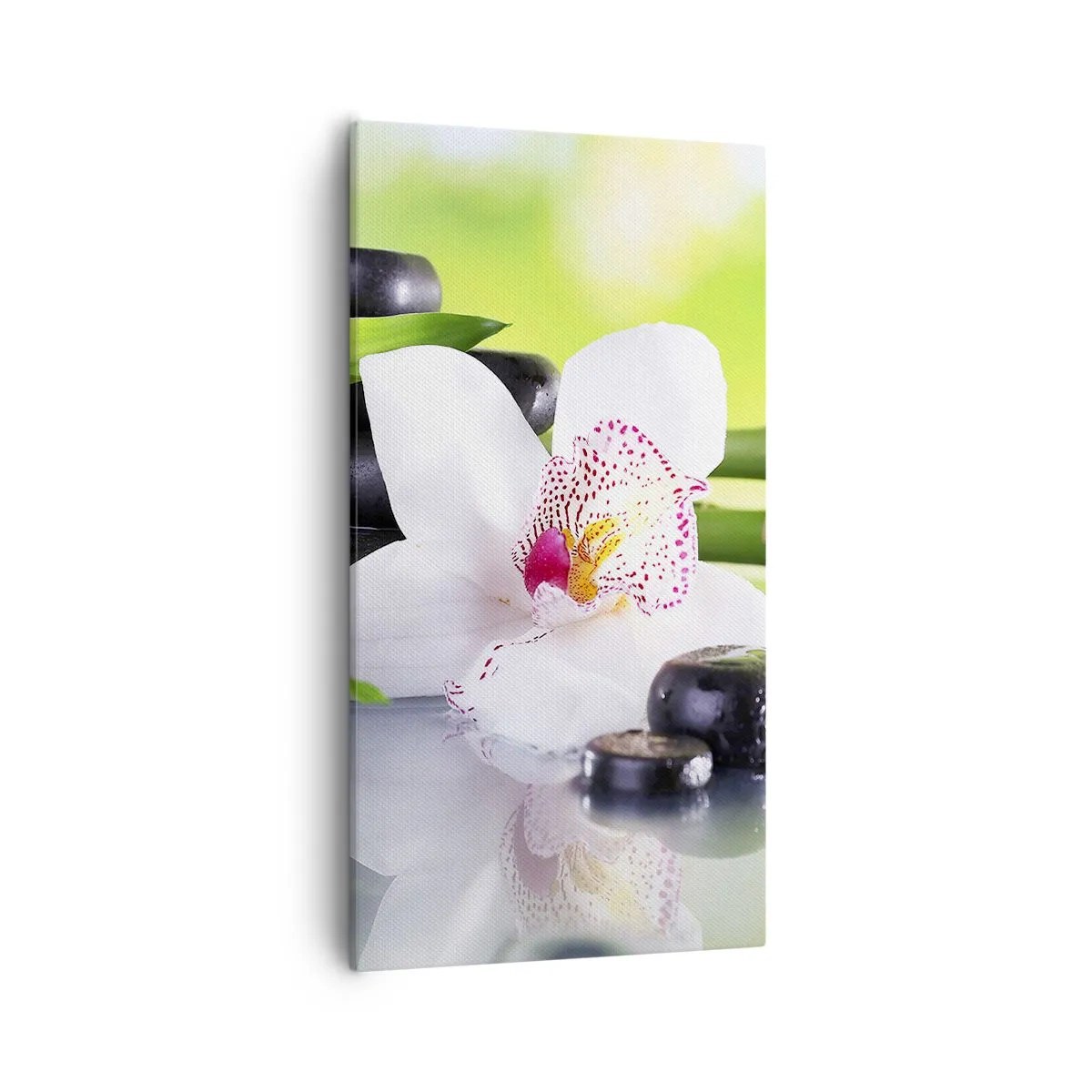 Obraz na plátne - Chladná sviežosť - 55x100 cm