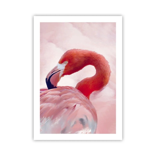 Plagát - Vtáčia krása - 50x70 cm