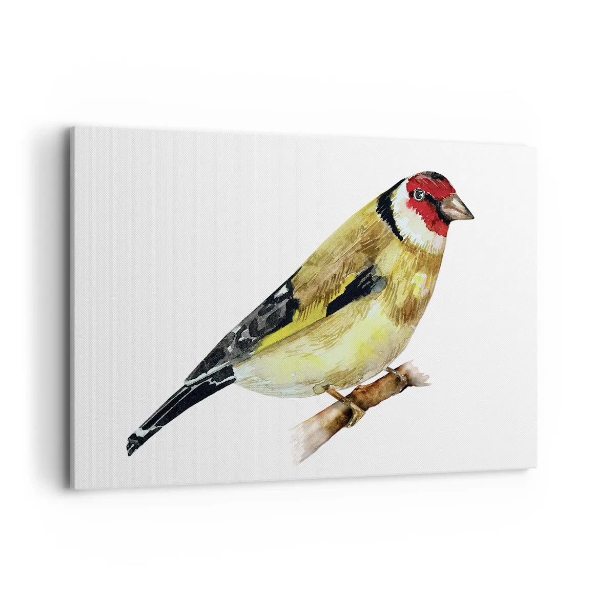 Obraz na plátne - Vtáčí portrét - 120x80 cm