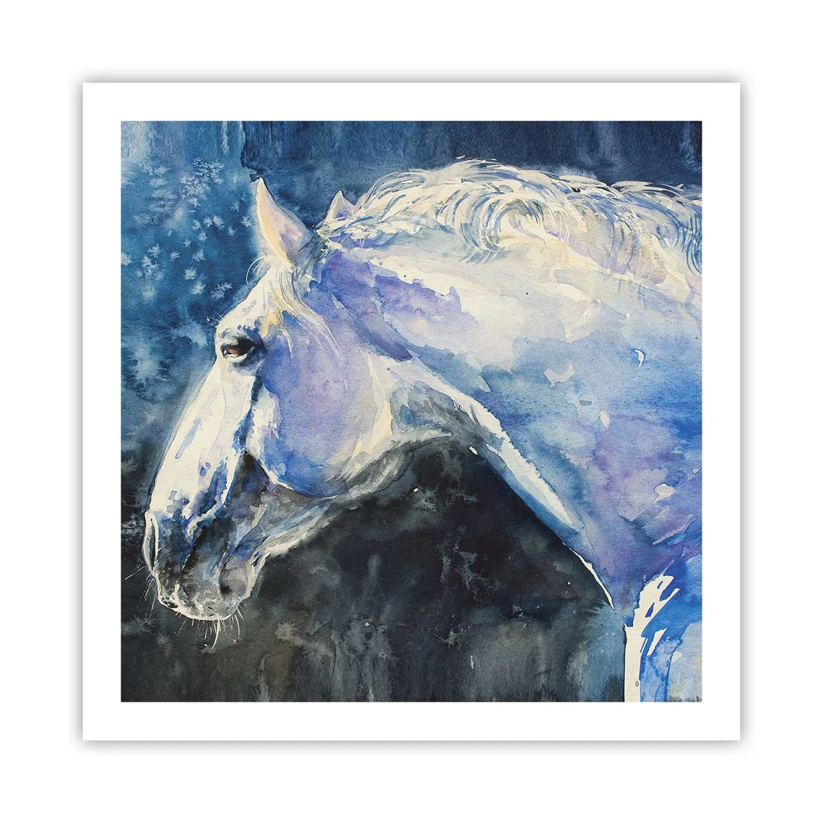 Plagát - Portrét v modrej žiare - 60x60 cm
