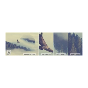Vzorka Fototapeta Standard Eco - Videla som tieň orla - Orol, Vták, les - 100x30 cm