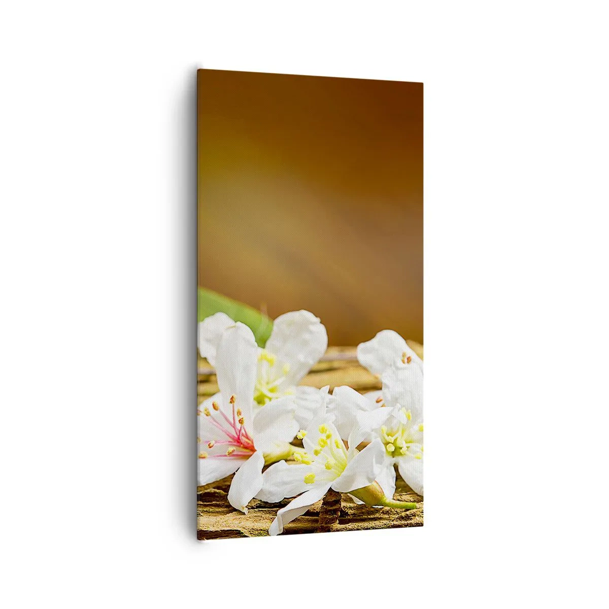 Obraz na plátne - Nevinný prísľub - 65x120 cm