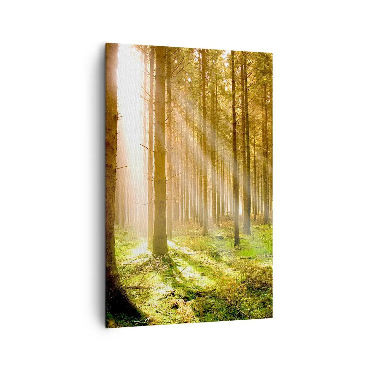 Obraz na plátne - Čoskoro sa objavia elfovia - 80x120 cm