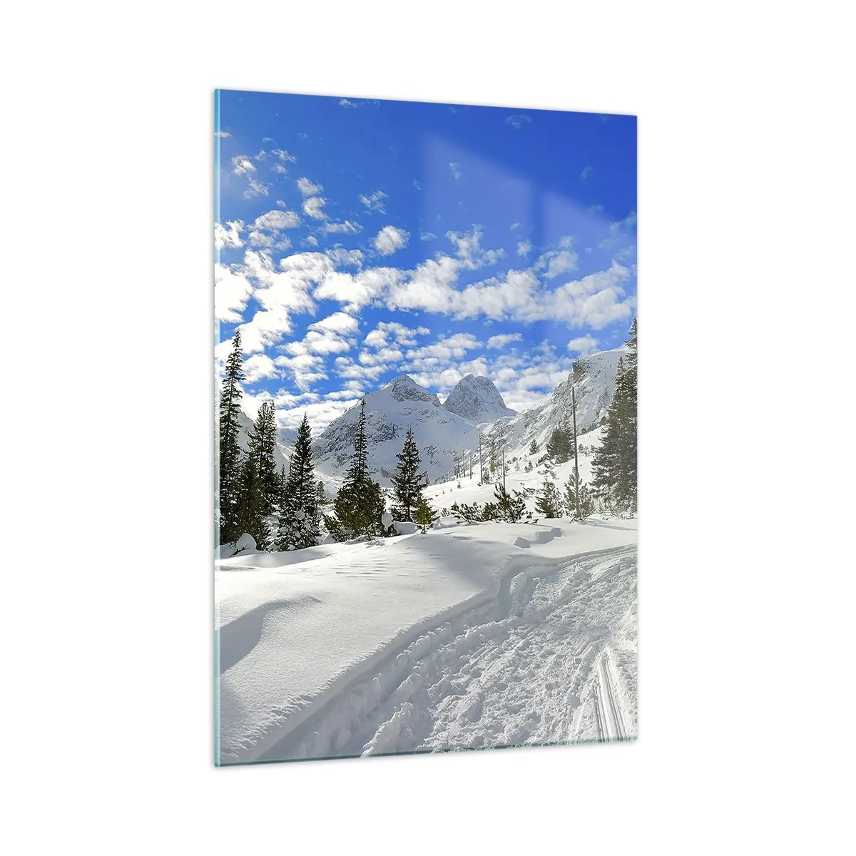 Obraz na skle - V snehu a na slnku - 50x70 cm
