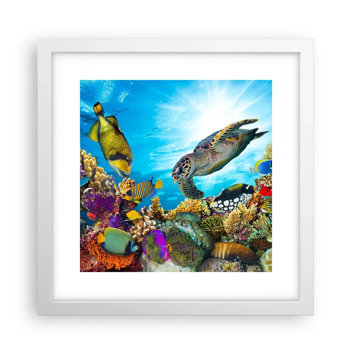 Plagát v bielom ráme - Koralová promenáda - 30x30 cm