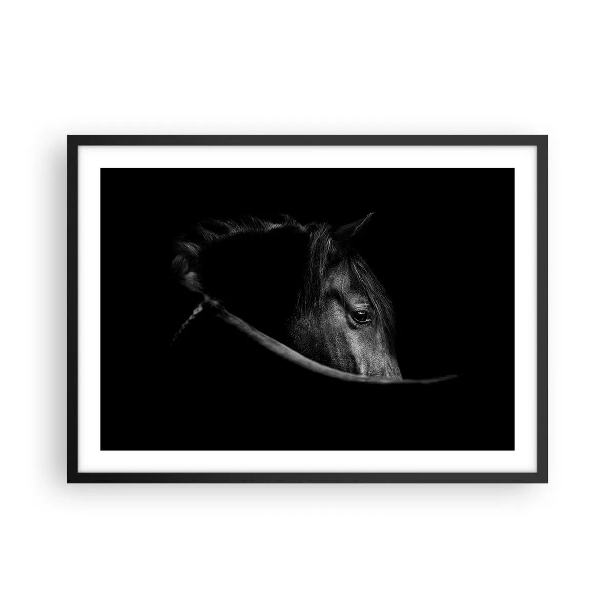 Plagát v čiernom ráme - Čierny knieža - 70x50 cm