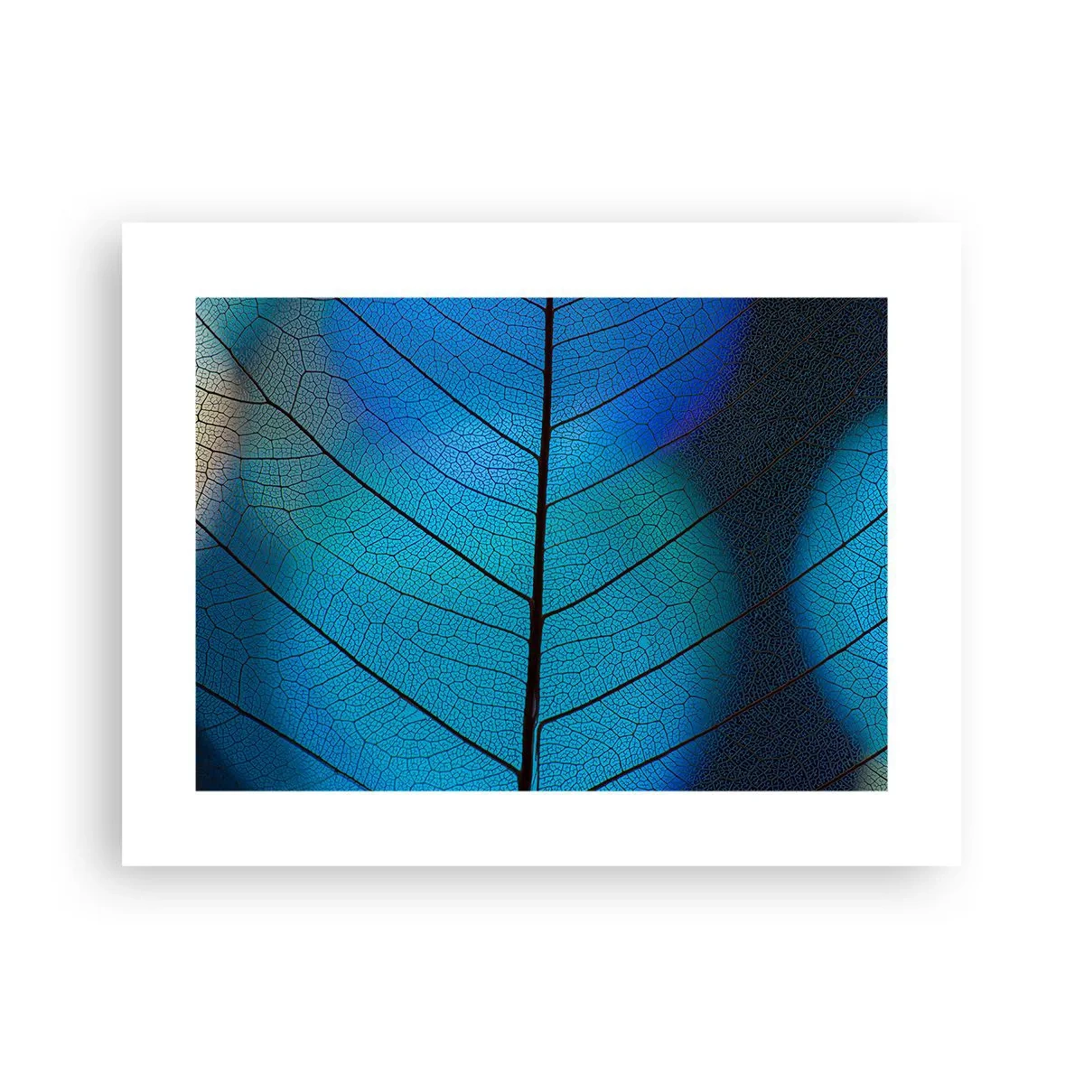 Plagát - Až do detailov - 40x30 cm