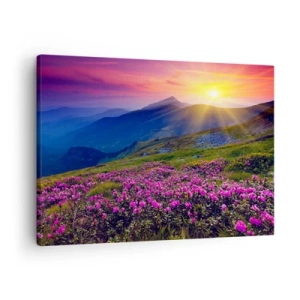 Obraz na plátne - Kvitnúca lúka s výhľadom na hory pri západe slnka - 70x50cm - …A okolo vonia kosodrevina a voňajú byliny - Moderná nástenná dekorácia do obývacej izby a spálne ARTTOR