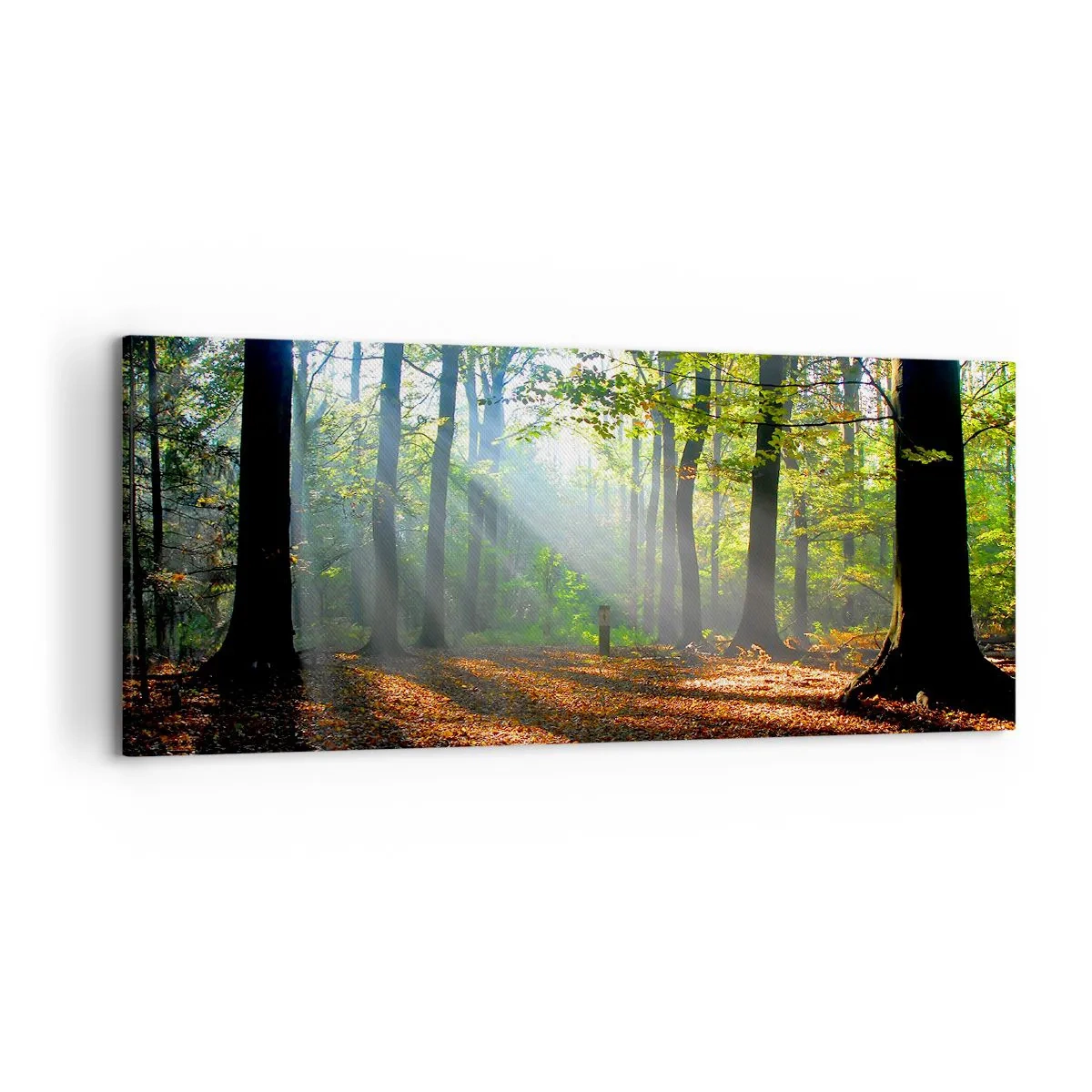 Obraz na plátne - Svetlá a tiene - 120x50 cm