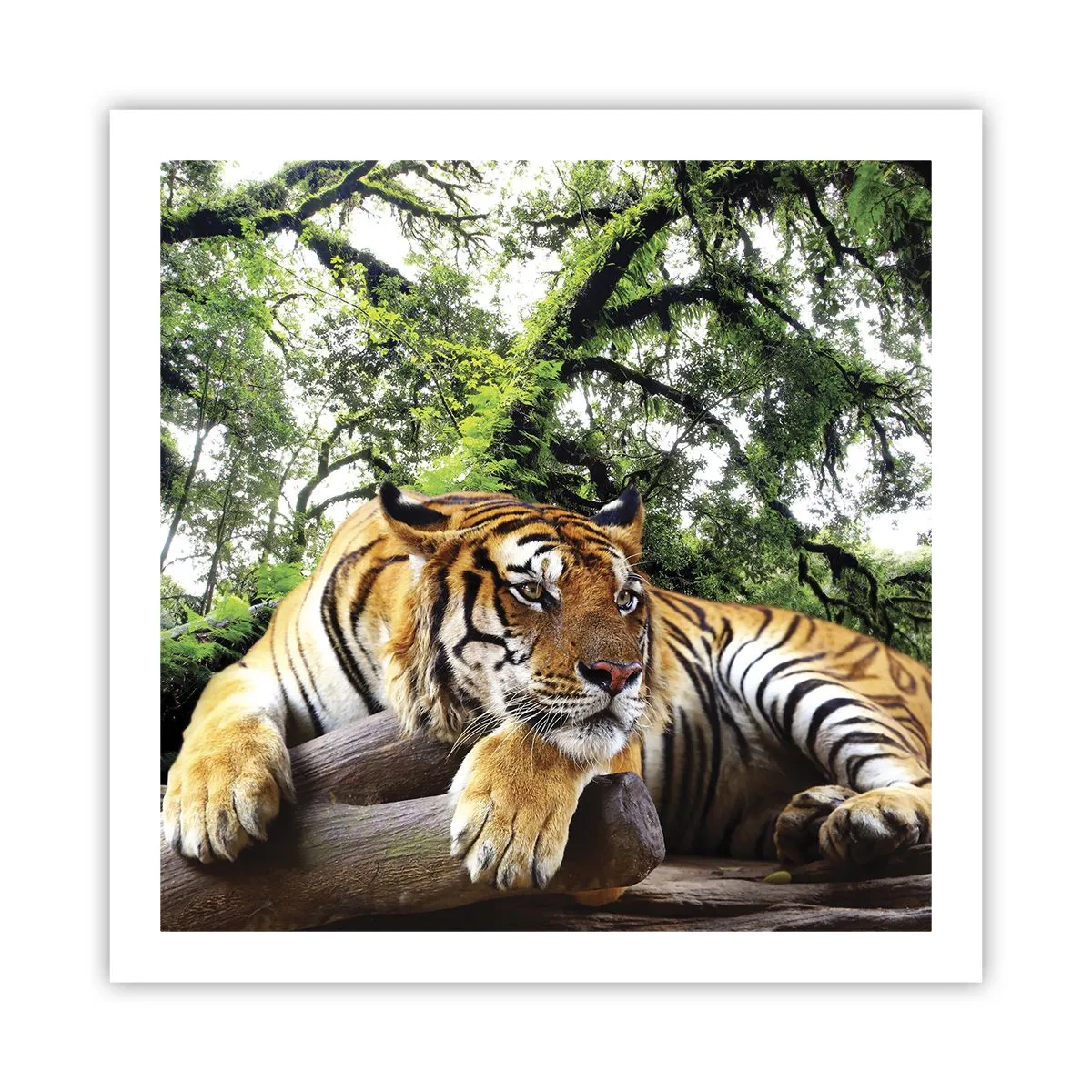 Plagát - S úctou - 60x60 cm