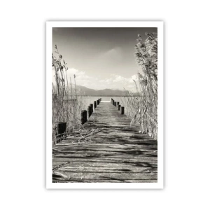 Plagát - V ústraní tráv - 70x100 cm