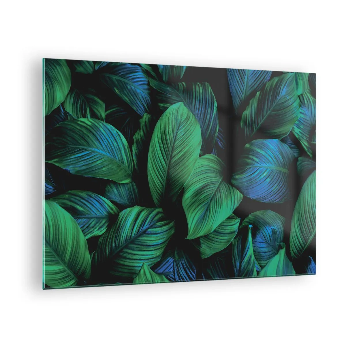 Obraz na skle - Detailný záber listov v intenzívnych odtieňoch zelenej - 70x50cm - V zelenom dave - Moderná nástenná dekorácia do obývacej izby a spálne ARTTOR