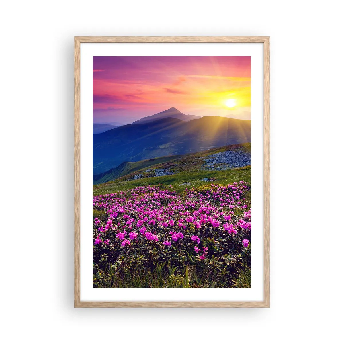 Plagát v ráme zo svetlého duba - …A okolo vonia kosodrevina a voňajú byliny - 50x70 cm