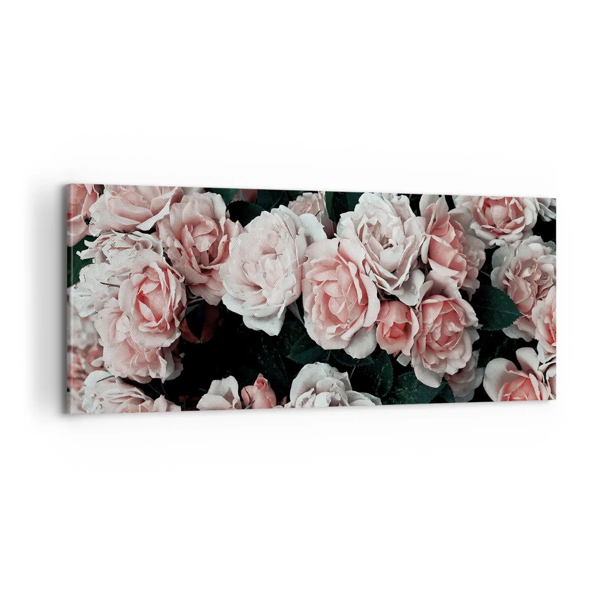 Obraz na plátne - Ružový ansámbl - 100x40 cm