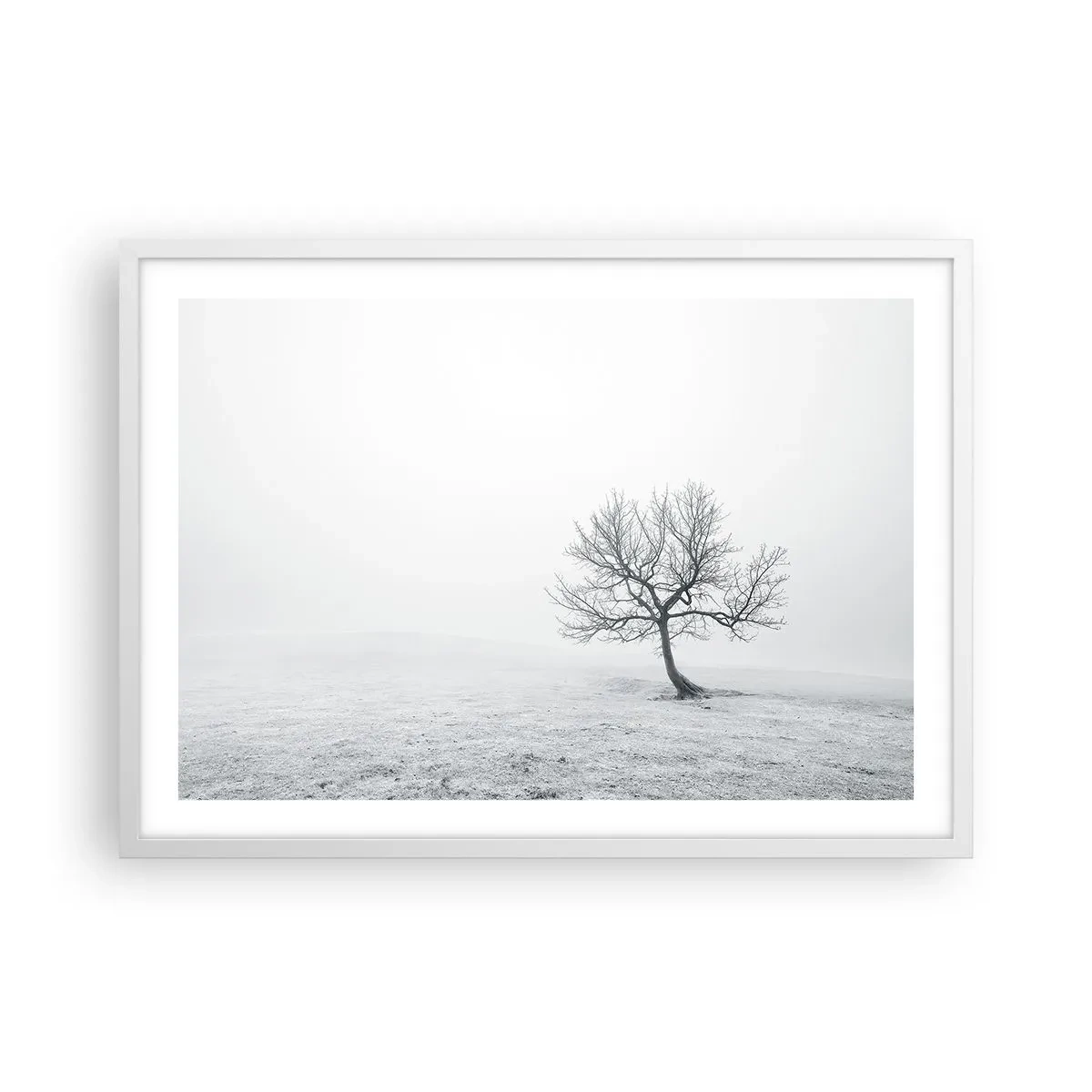 Plagát v bielom ráme - Proti ničote - 70x50 cm