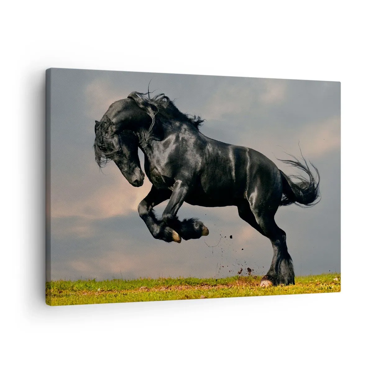 Obraz na plátne - Tmavý kôň v dynamickom skoku proti oblohe - 70x50cm - Krásny a slobodný - Moderná nástenná dekorácia do obývacej izby a spálne ARTTOR