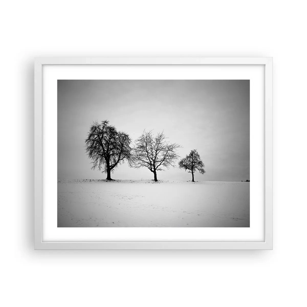 Plagát v bielom ráme - O čom sníva? - 50x40 cm