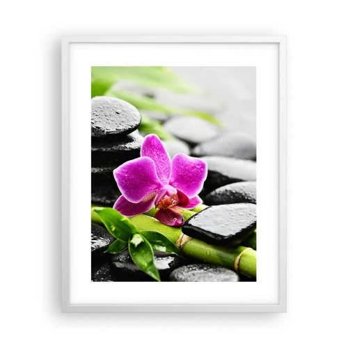 Plagát v bielom ráme - V pokojnej rovnováhe - 40x50 cm