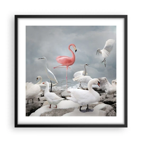 Plagát v čiernom ráme - Kde som sa tu vzal? - 50x50 cm