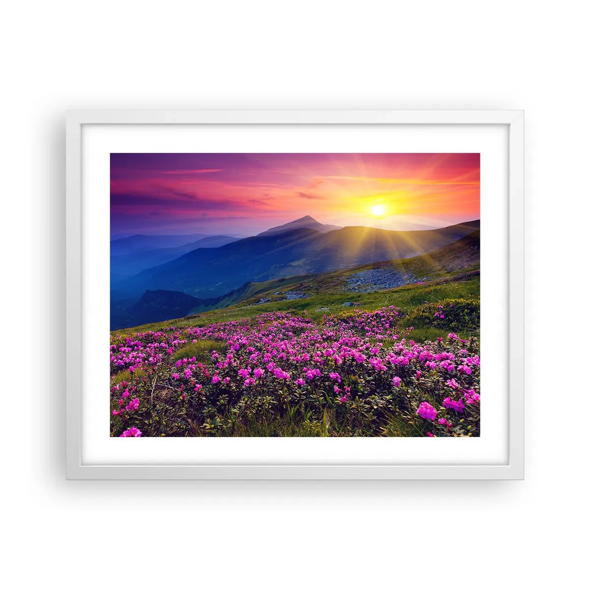 Plagát v bielom ráme - …A okolo vonia kosodrevina a voňajú byliny - 50x40 cm