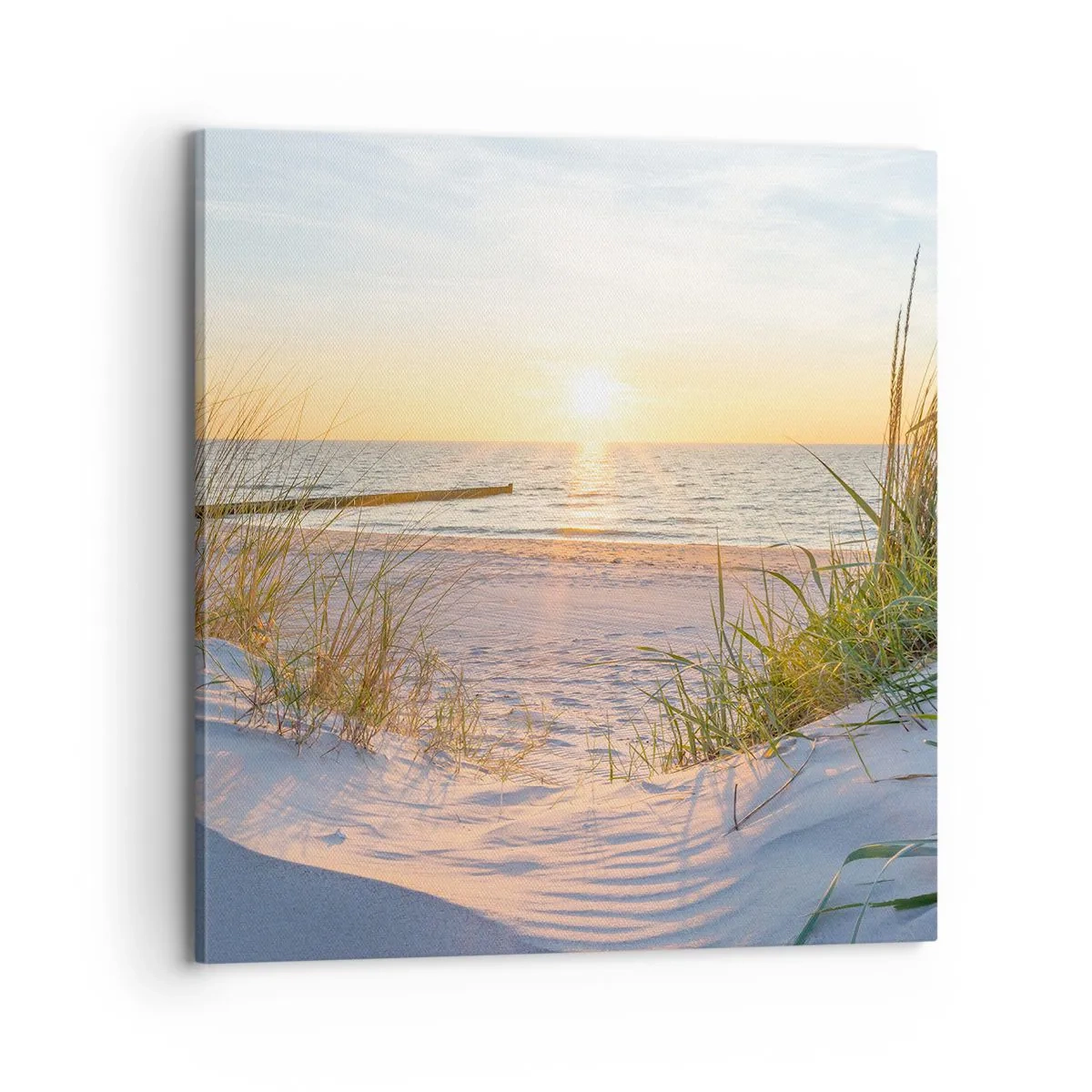 Obraz na plátne - Šumenie mora, spev vtákov, divoká pláž uprostred trávy… - 70x70 cm